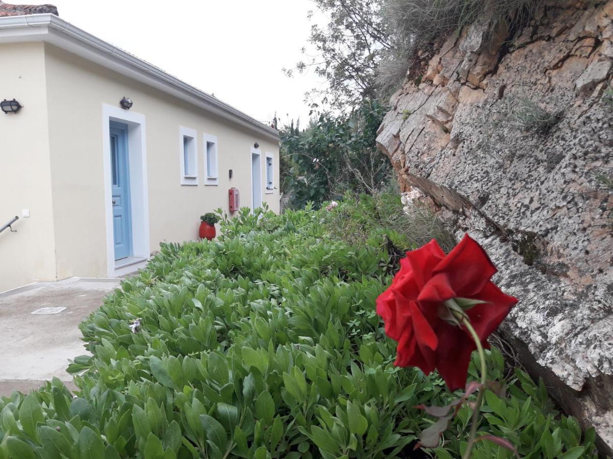 Appartement Odysseion *